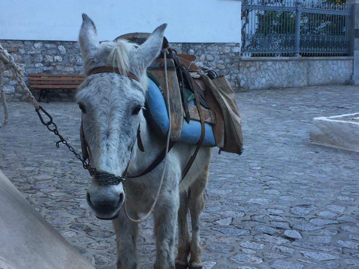 Casa Melenia Hydra Ξενοδοχείο Hydra Island  Εξωτερικό φωτογραφία